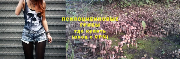 прущий лед Армянск